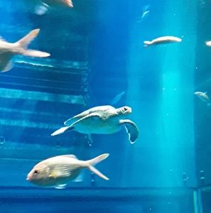 Meet your Posher, Jack